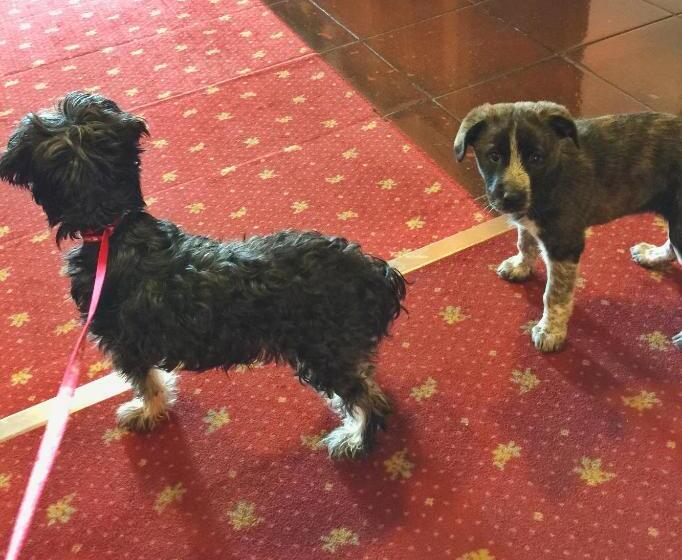 בית מלון כפרי Kristina