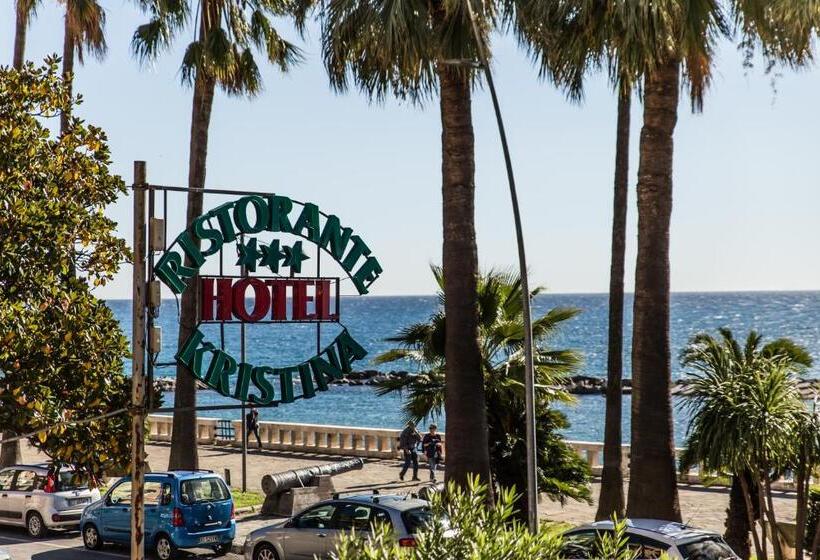 בית מלון כפרי Kristina