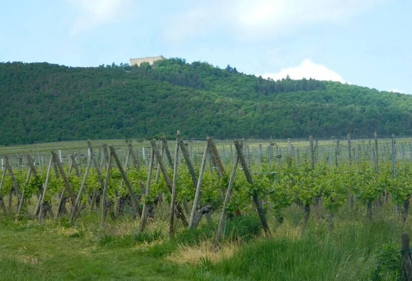 Отель L Hostellerie Du Château