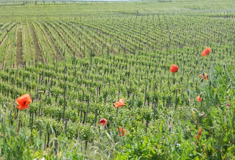 Отель L Hostellerie Du Château