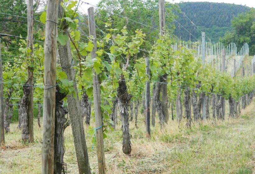 Отель L Hostellerie Du Château