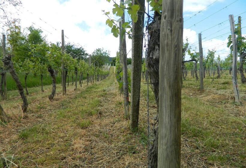 Отель L Hostellerie Du Château
