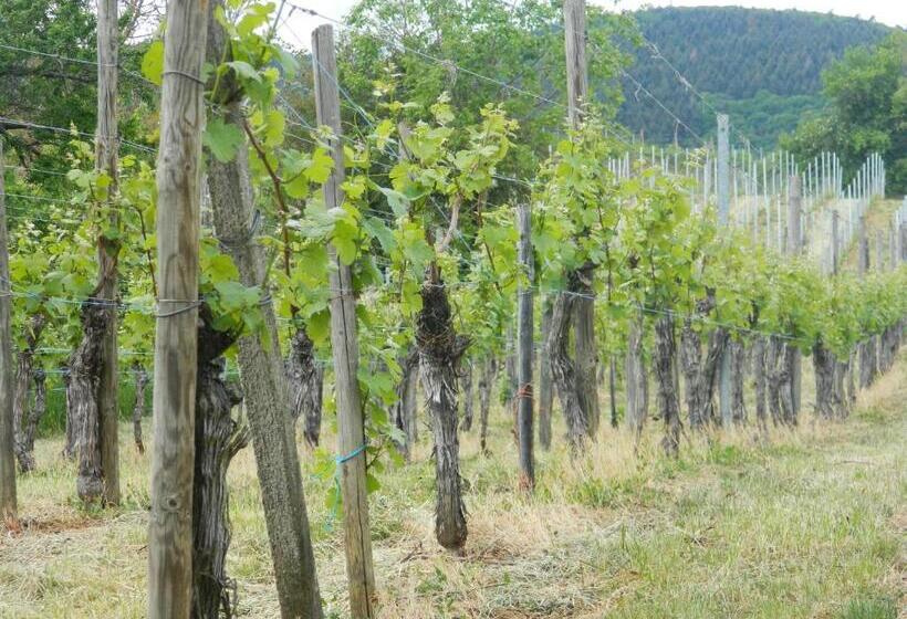 Отель L Hostellerie Du Château