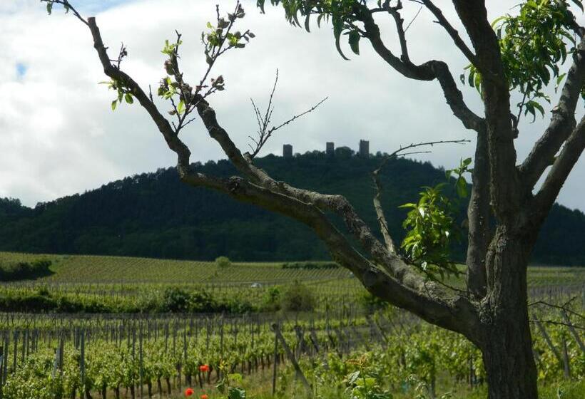 Отель L Hostellerie Du Château