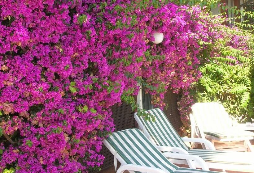 בית מלון כפרי La Coccinella