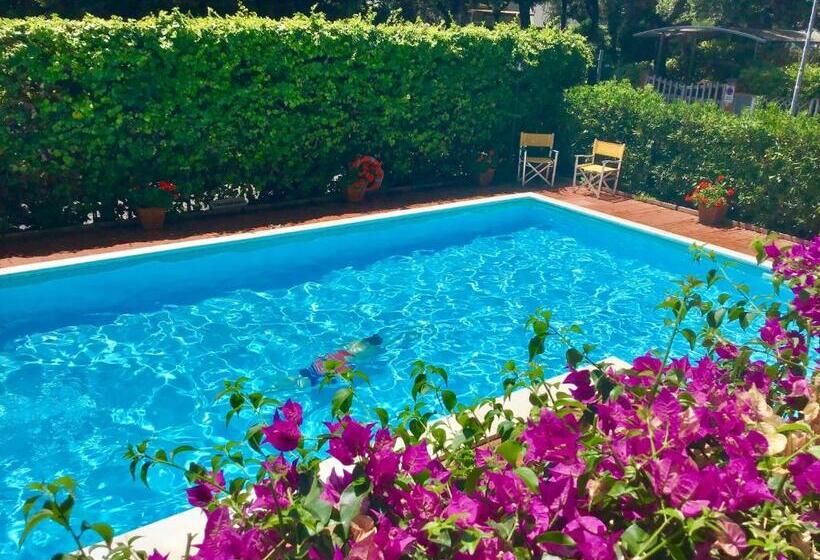 בית מלון כפרי La Coccinella