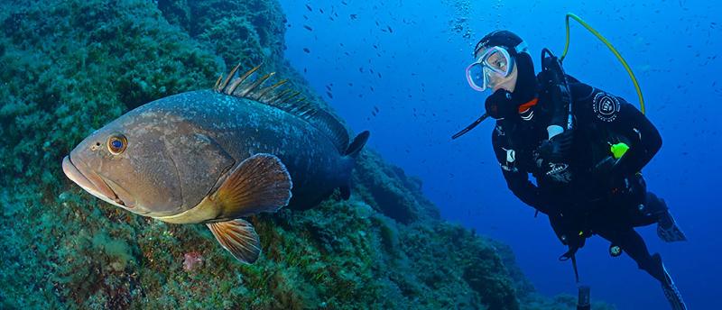 酒店 Le Mediterranee