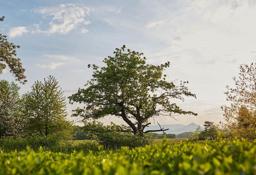 Отель Les Prés D'ondine