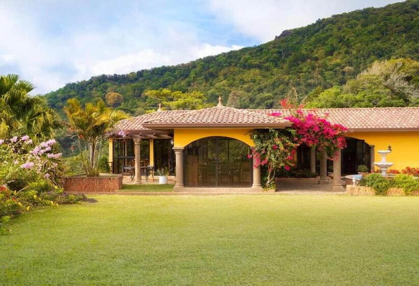 Отель Los Establos Boutique Resort All Inclusive