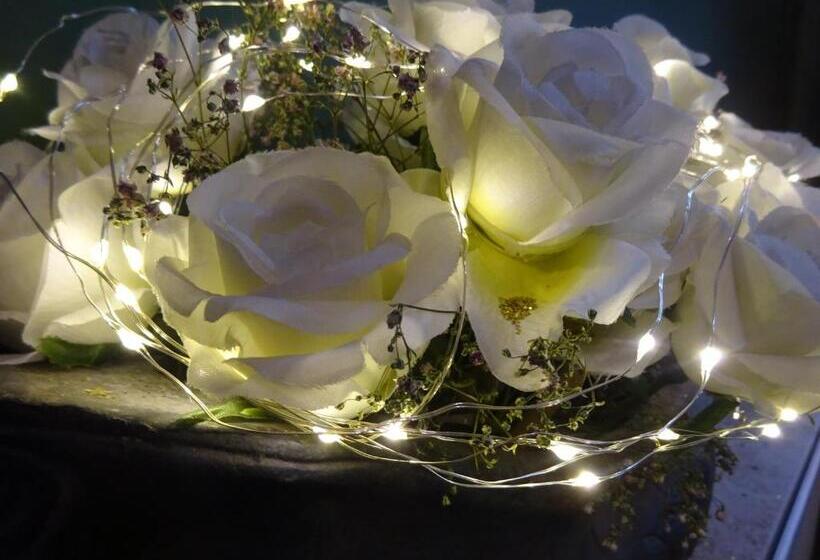 Отель Malleberg