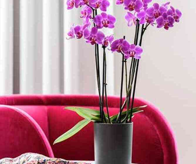 Mintrops Stadt Hotel Margarethenhöhe