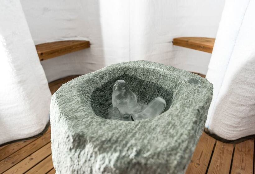 هتل Nendaz 4 Vallées & Spa 4 Superior