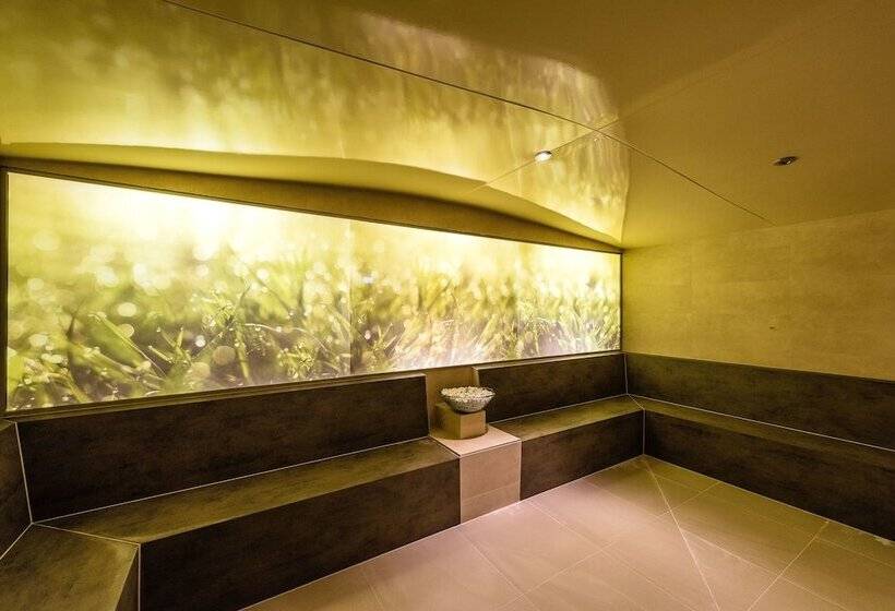 هتل Nendaz 4 Vallées & Spa 4 Superior