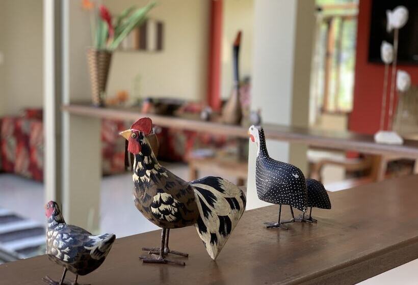 בית מלון כפרי Pousada Don Juan