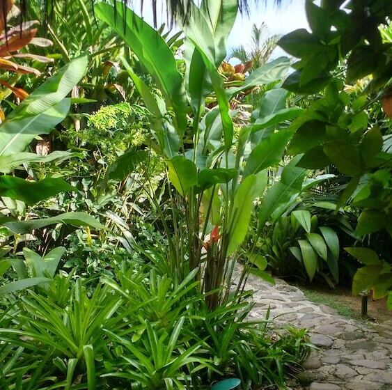 בית מלון כפרי Pousada Magia Verde