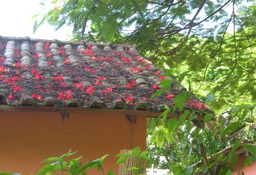 בית מלון כפרי Pousada Magia Verde