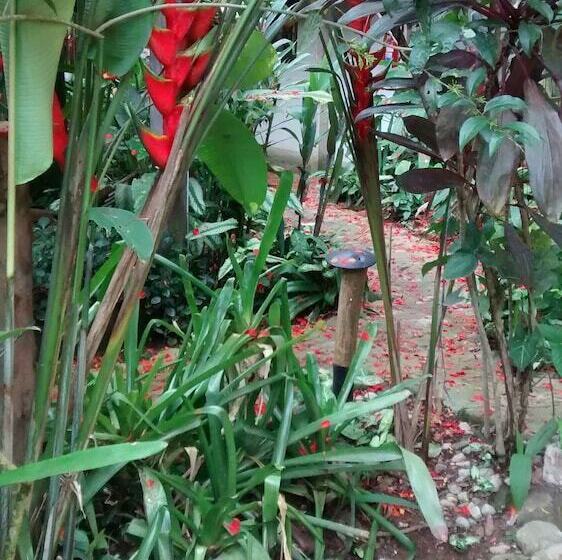 בית מלון כפרי Pousada Magia Verde