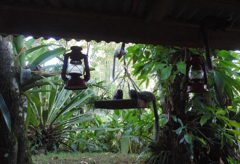 בית מלון כפרי Pousada Magia Verde