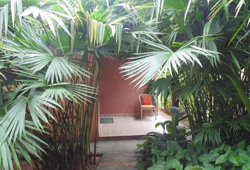 בית מלון כפרי Pousada Magia Verde