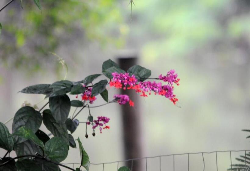 בית מלון כפרי Pousada Magia Verde