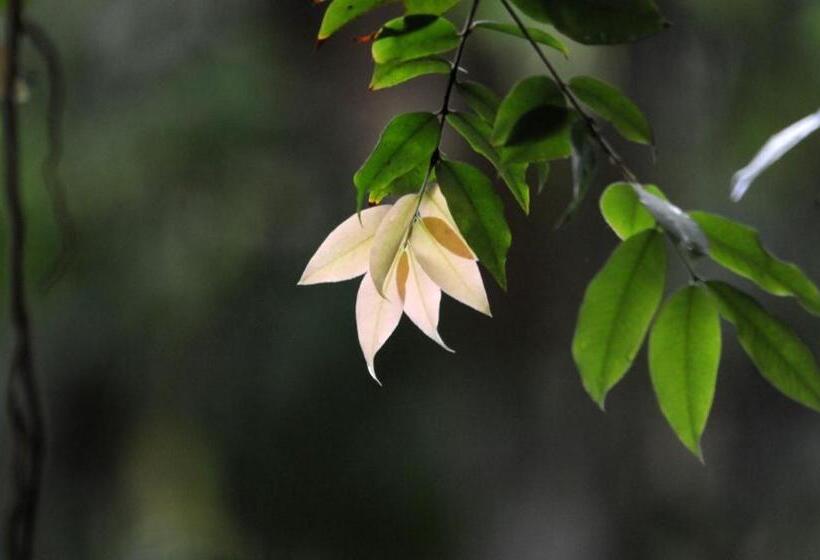 בית מלון כפרי Pousada Magia Verde