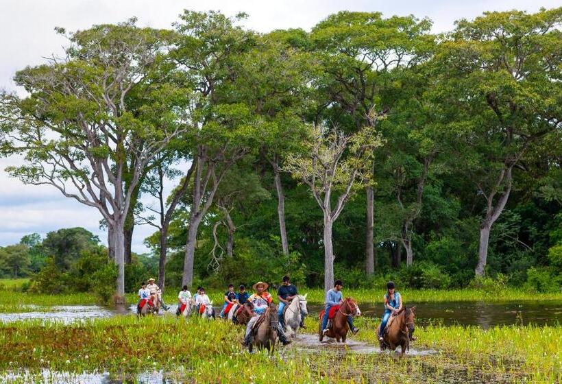 酒店 Pousada Piuval