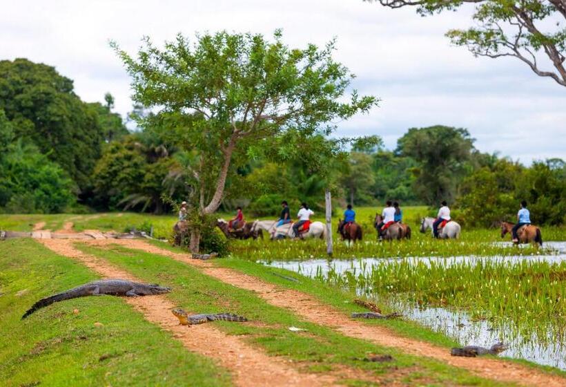 酒店 Pousada Piuval