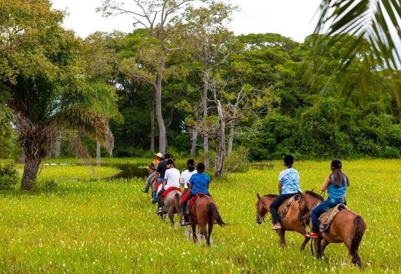 酒店 Pousada Piuval