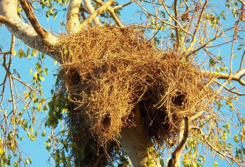 酒店 Pousada Piuval