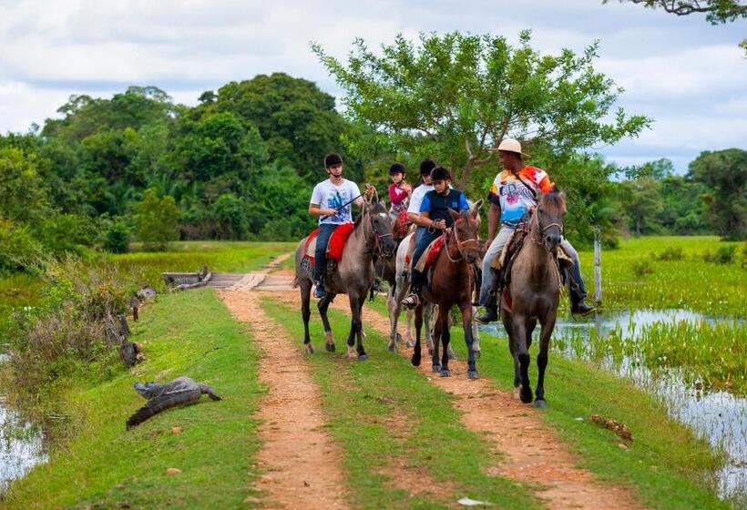 酒店 Pousada Piuval