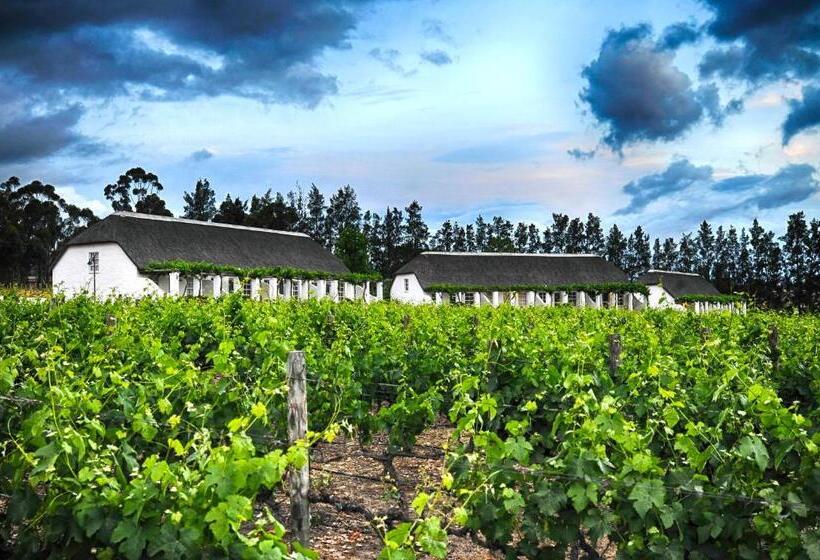 בית מלון כפרי Rijk S Wine Estate &