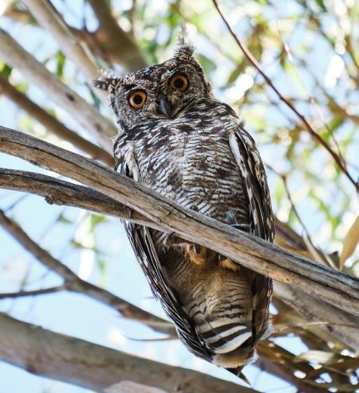 בית מלון כפרי Rijk S Wine Estate &