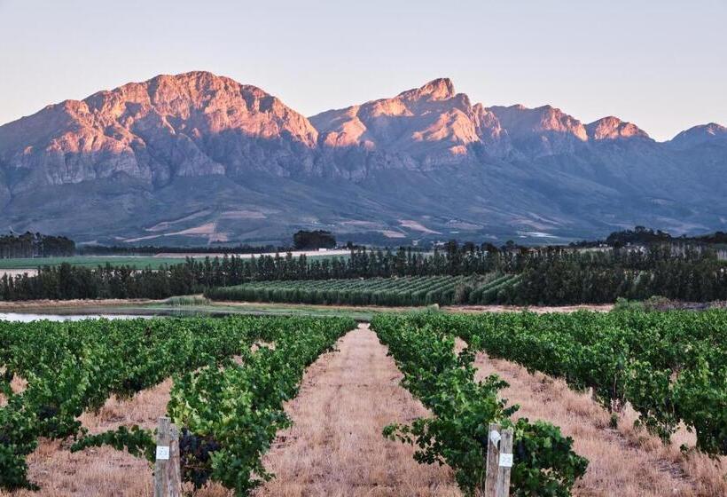 בית מלון כפרי Rijk S Wine Estate &