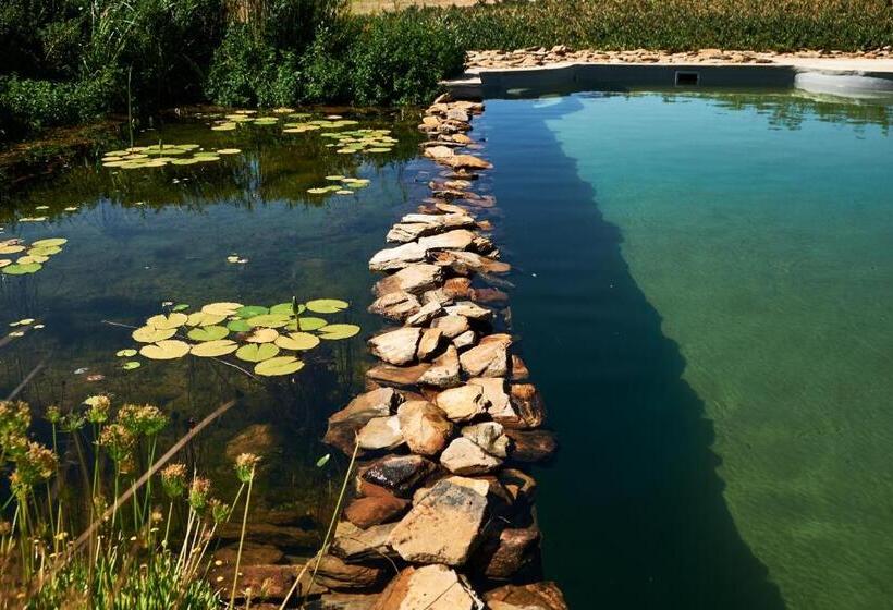 בית מלון כפרי Rijk S Wine Estate &