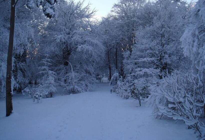 בית מלון כפרי Castle Grove Country House