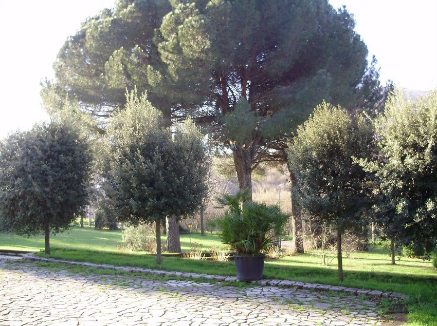 酒店 Tenuta Montelaura