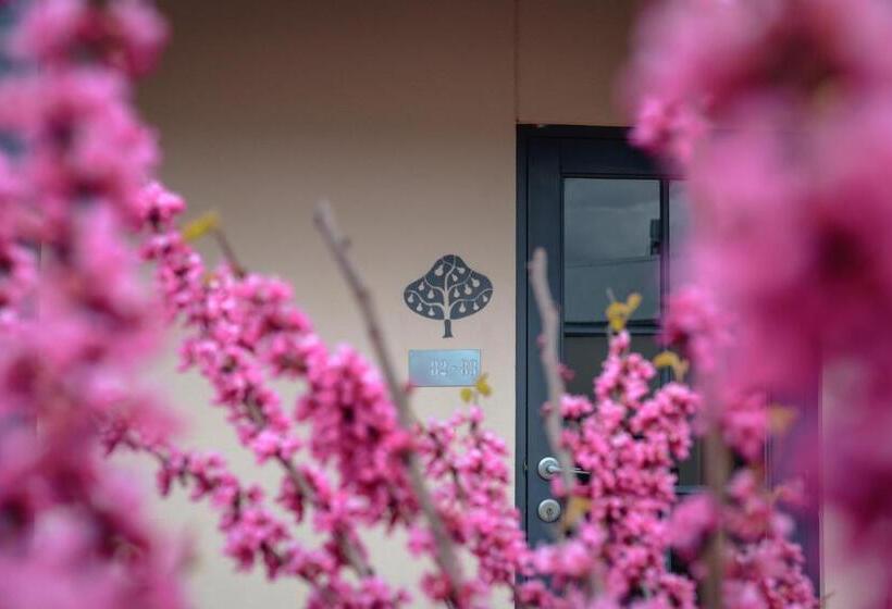 The Studios By Manna, Ascend Hotel Collection