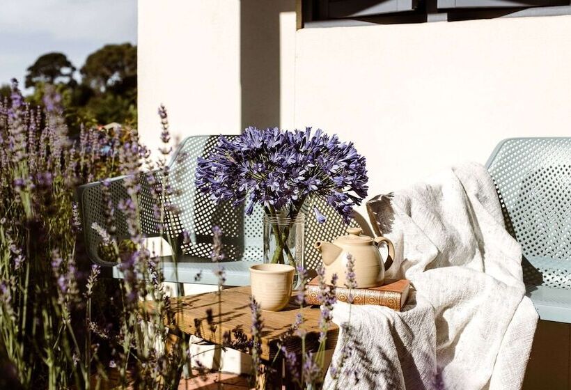 The Studios By Manna, Ascend Hotel Collection