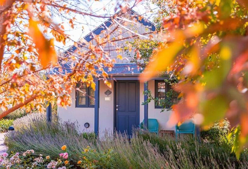 The Studios By Manna, Ascend Hotel Collection