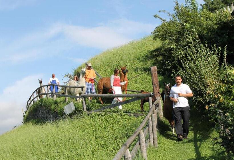 בית מלון כפרי Torgglerhof