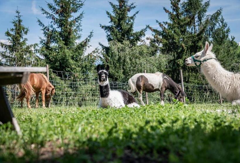 בית מלון כפרי Torgglerhof
