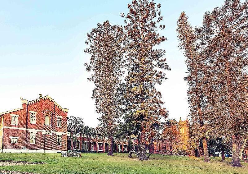 מוטל Mercure Maitland Monte Pio