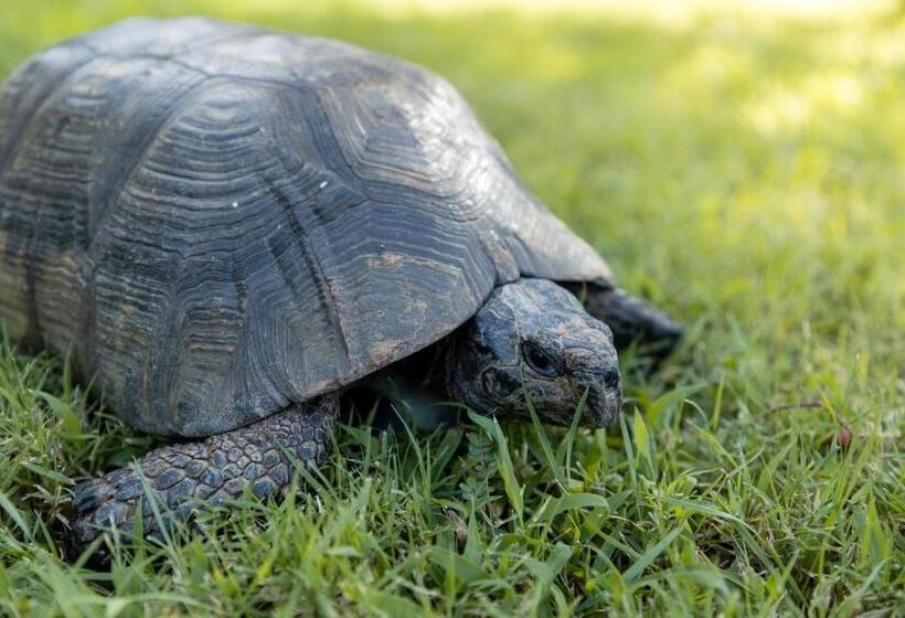 דירת נופש Eco Village Baia Delle Ginestre