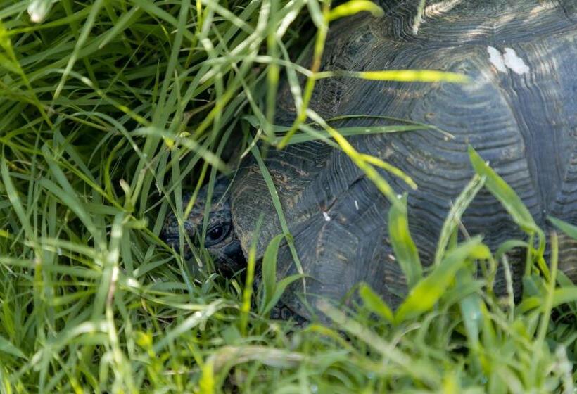 דירת נופש Eco Village Baia Delle Ginestre