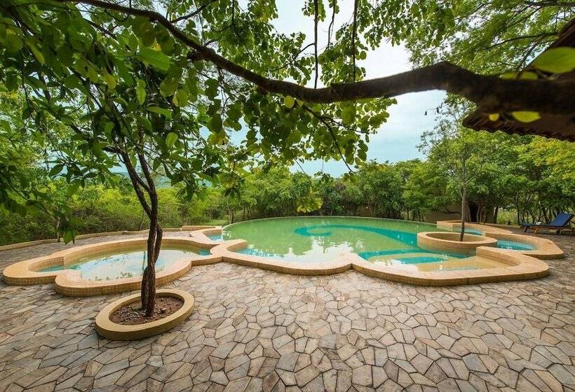 The Windflower Jungle Resorts And Spa