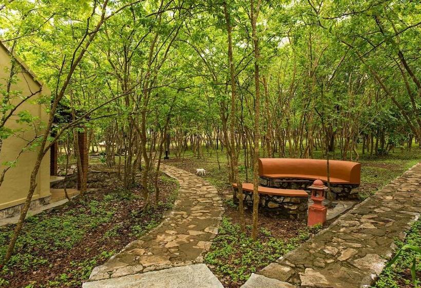 The Windflower Jungle Resorts And Spa