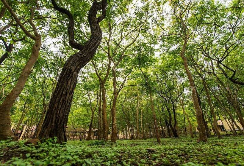 The Windflower Jungle Resorts And Spa