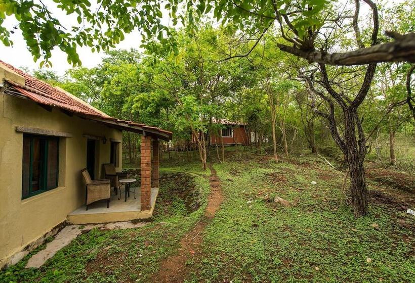 The Windflower Jungle Resorts And Spa