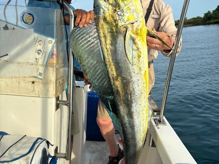 استراحتگاه Agua Dulce On The Beach