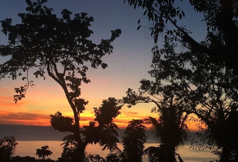 Argonauta Boracay Boutique Hotel With Apartments And Villas